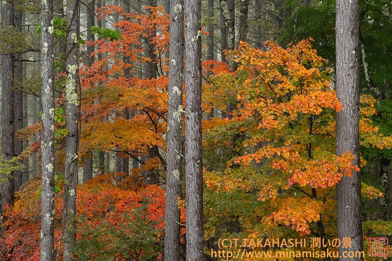 ../Images/7R251026 (101).jpg